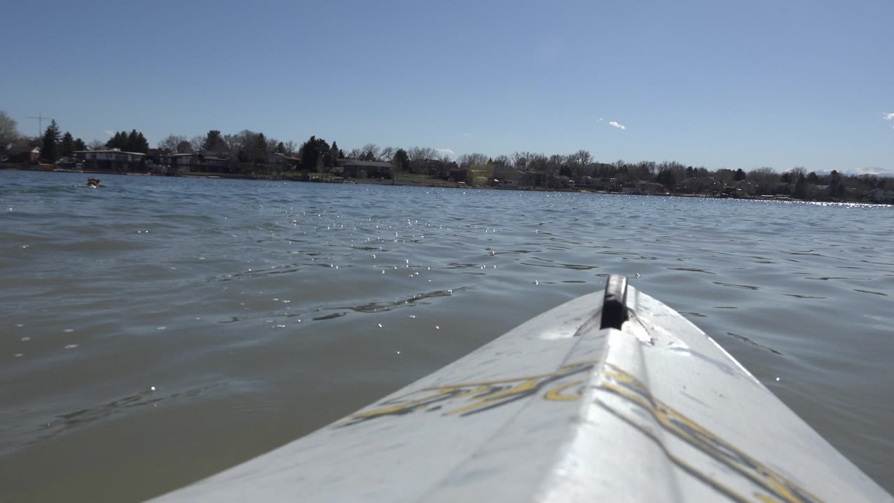 White boat bow on a rippled lake with shoreline trees in the distance.