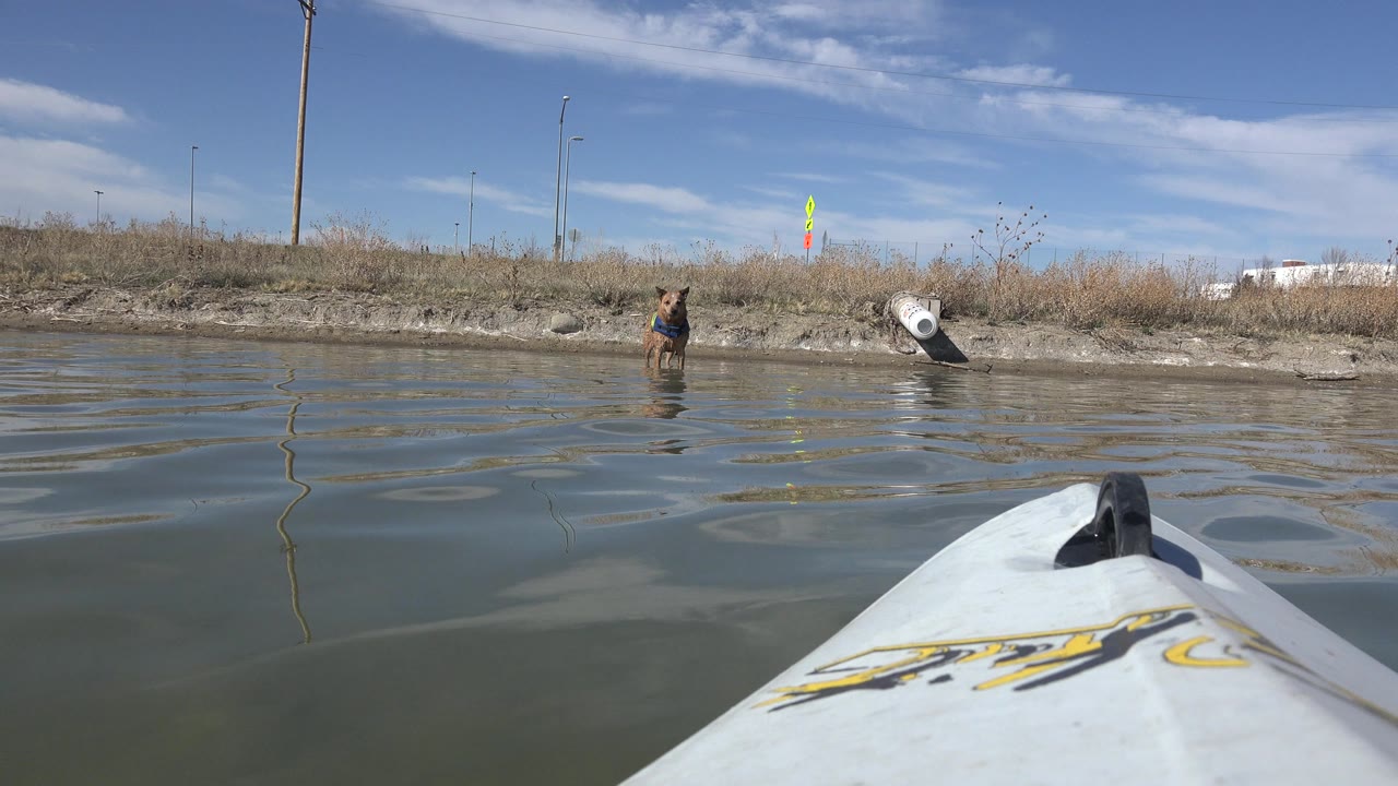 White boat bow points across rippled Hidden Lake water toward a brown dog near the muddy shoreline, with dry grass, poles, blue sky, and no visible people.