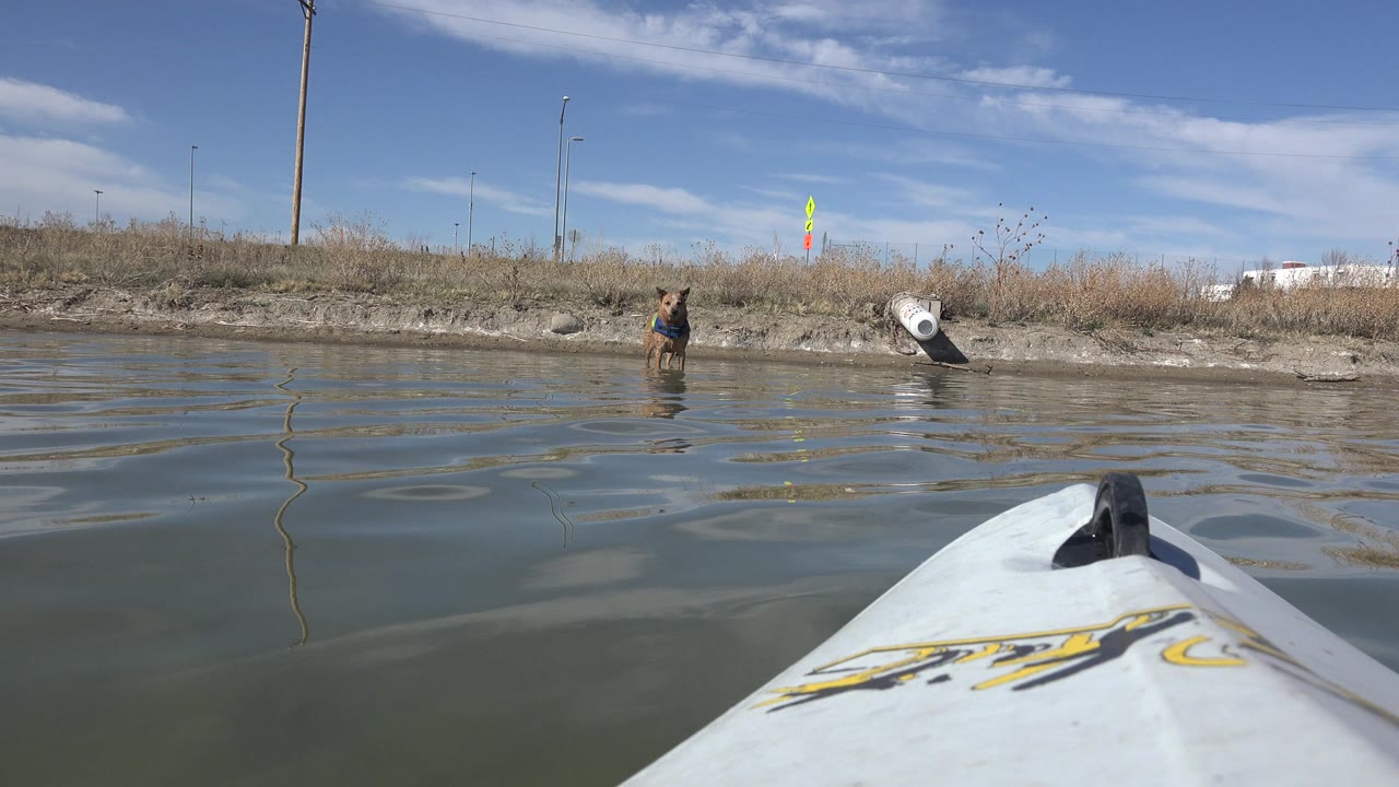 The boat bow stays low in the foreground as small waves cross Hidden Lake, with the dog slightly left of center near dry shoreline grass and no visible people.