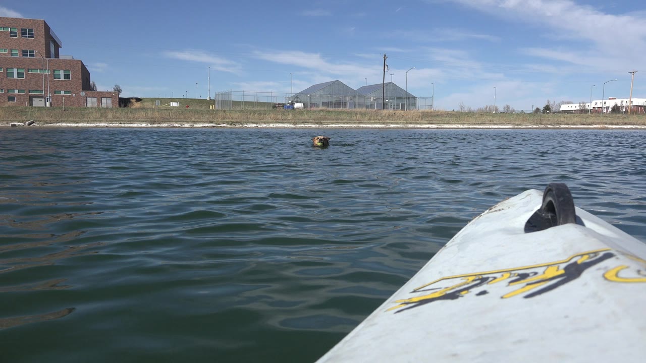 The kayak bow remains in the foreground while the dog swims farther ahead on Hidden Lake, Colorado, backed by grass, fencing, low buildings, and blue sky, with no visible people.