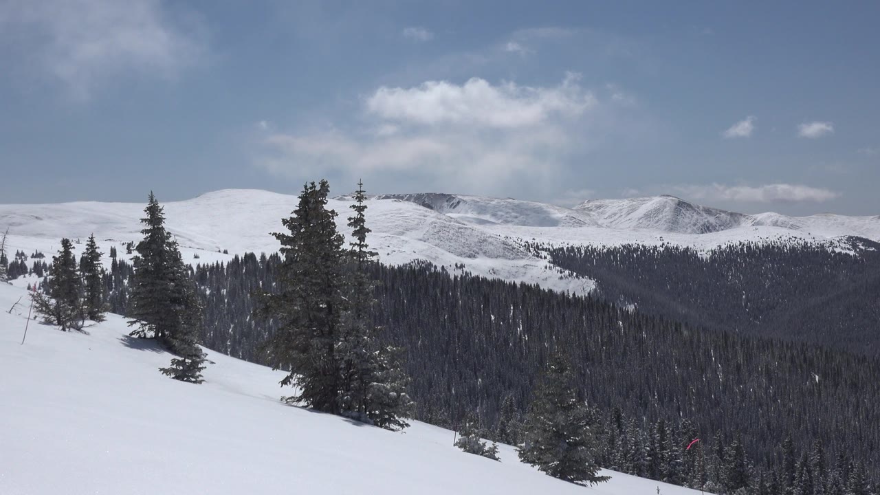 Keystone, Colorado winter view with a snow-covered slope, clustered evergreen trees in the foreground, distant white ridges, blue sky, and no visible people.