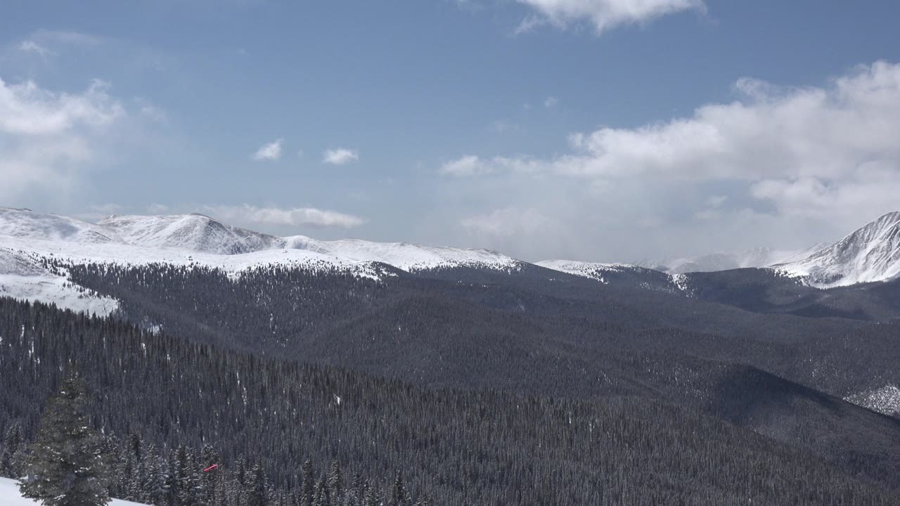 Snowy Colorado mountain range with treetops in the foreground.