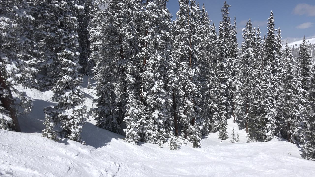 Dense snow-coated pines fill the middle of the frame in Keystone, Colorado, with a white ski slope in front and no visible people.