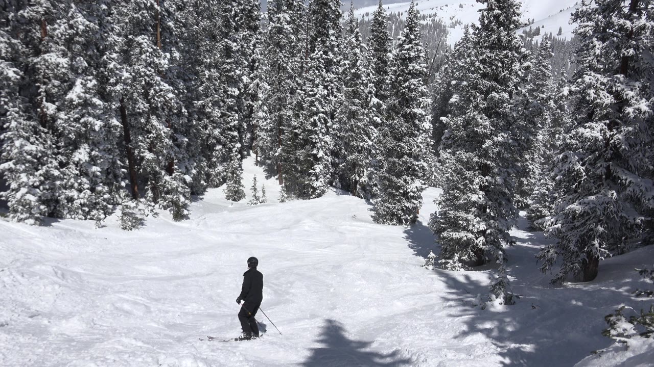 Skier in black on a snowy slope below snow-covered trees.