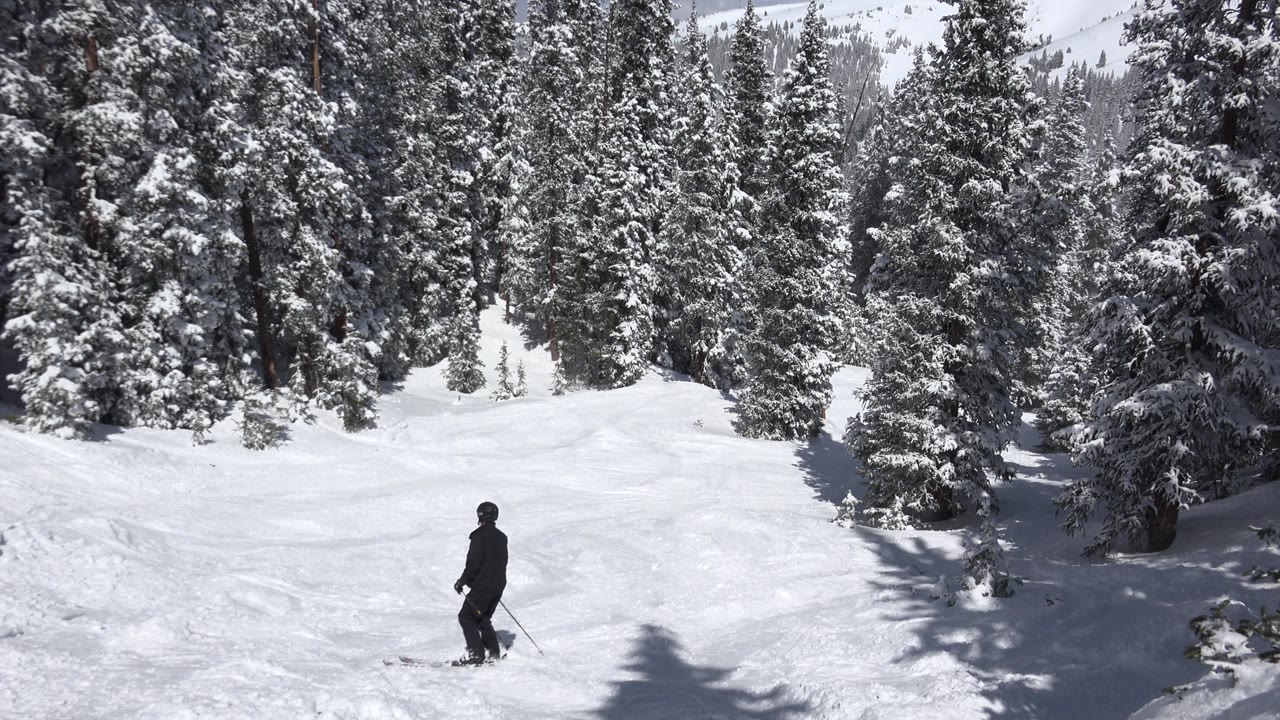 The skier remains low in frame on a smooth snowy Keystone, Colorado slope, with tall snow-laden evergreens filling the background and shadows falling across the snow.
