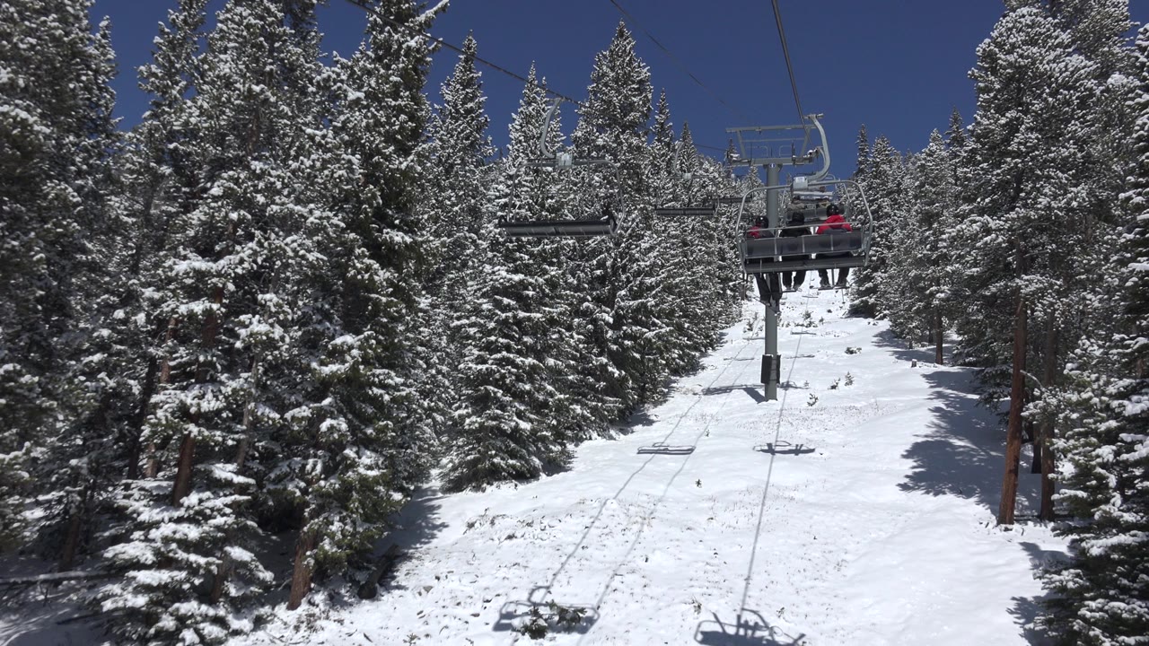 Snowy chairlift line running uphill through evergreen trees.