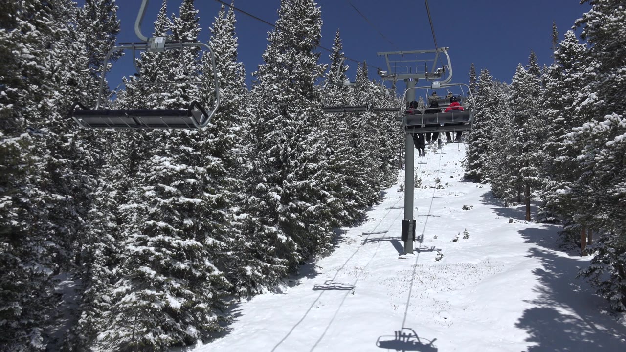 Chairlift over a snowy evergreen corridor.