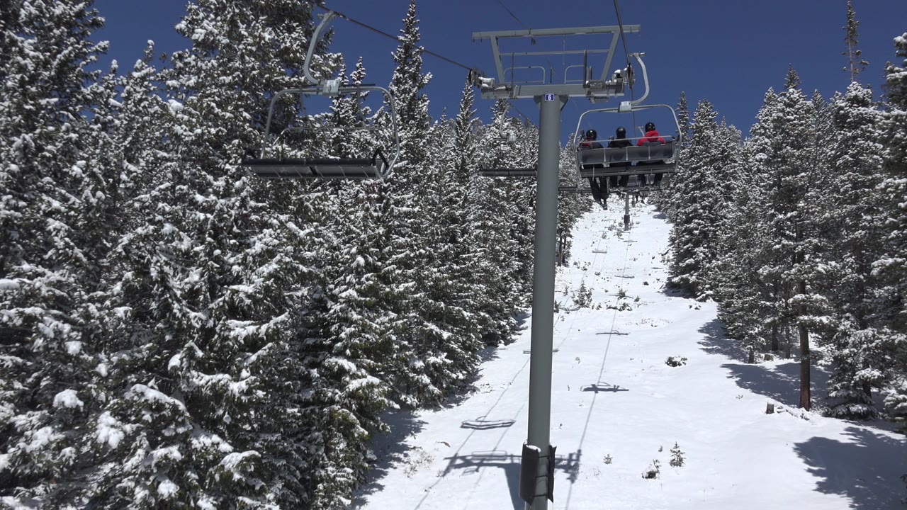 Lift tower and chairlift line between snowy evergreens.