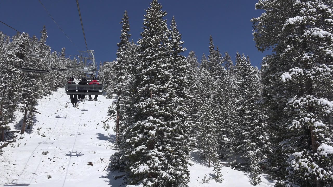 Chairlift riders above a snowy pine-covered ski slope.