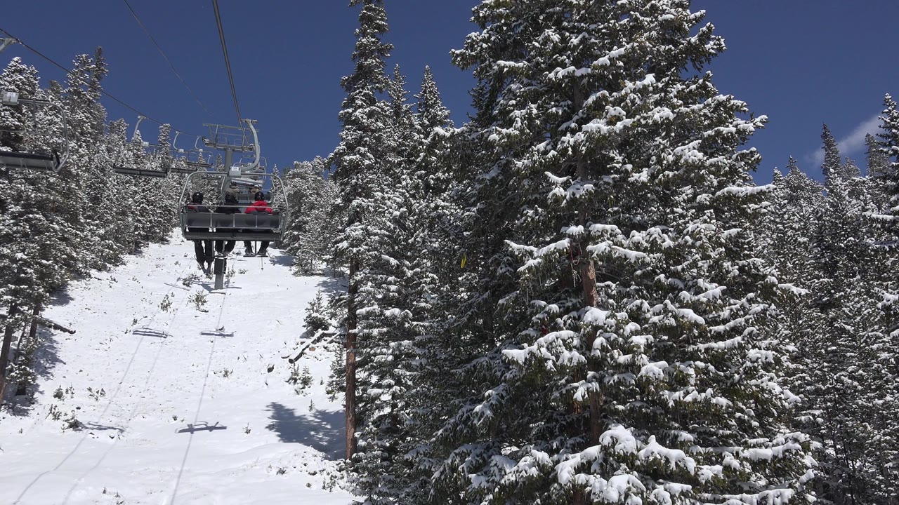 Snowy chairlift corridor between evergreen trees under blue sky.
