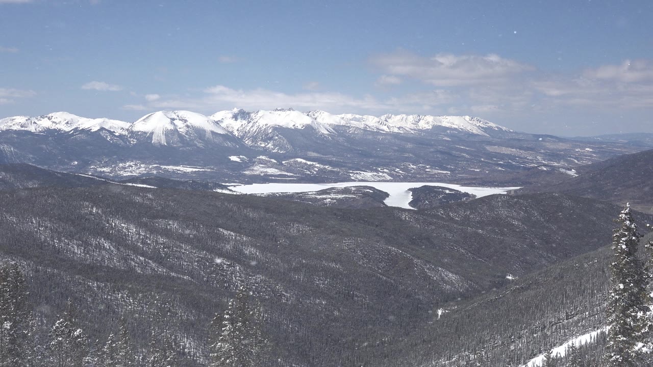 Evergreen foreground below snowy Colorado mountains
