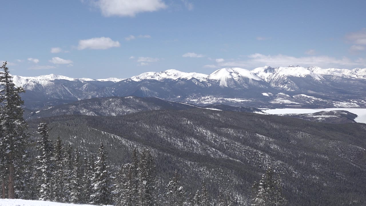 Tall evergreen tree before snowy mountain horizon
