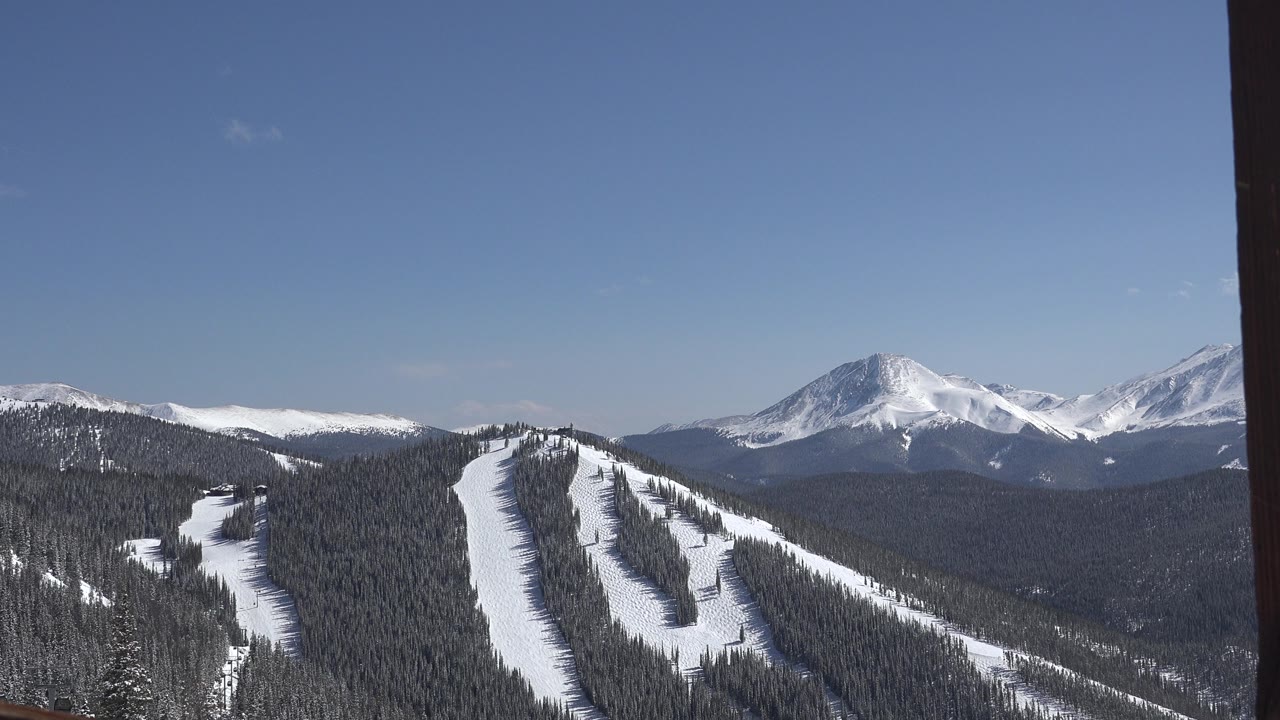 Snowy mountain slopes and forest under a clear blue sky