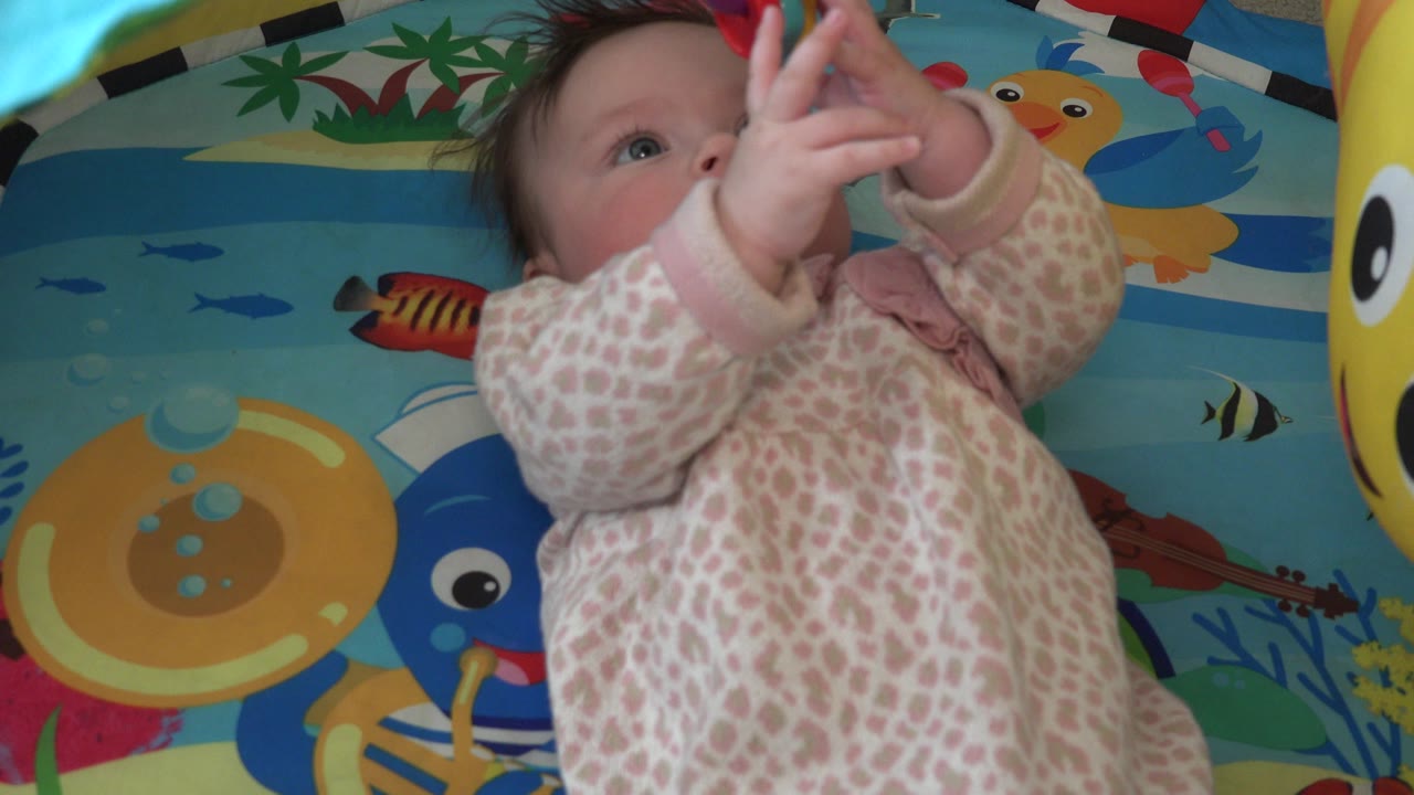 Newborn in a pink patterned onesie lies on a colorful fish-themed play surface in Westminster, Colorado, reaching both hands upward as the hanging toy sits mostly out of frame.