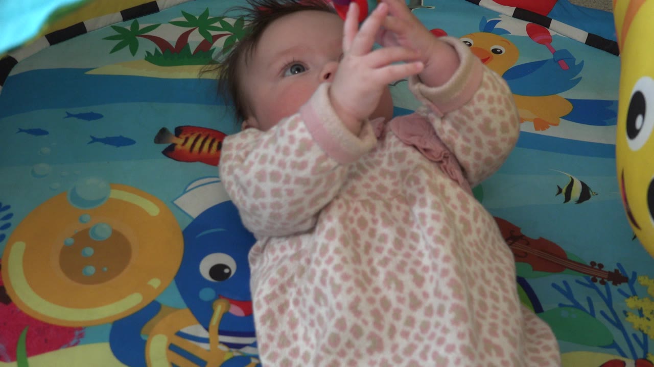 Newborn remains on the bright fish-patterned play surface in Westminster, Colorado, with eyes turned upward and hands together near the top of the frame.