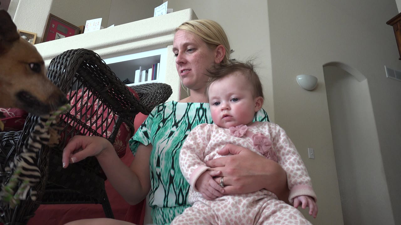 The woman and baby remain seated in the Westminster home as the brown dog faces a striped hanging toy near the wicker chair.