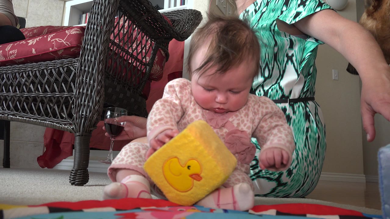 The baby looks down at the yellow duck cube in Westminster, Colorado, while the adult remains cropped at the side and the wine glass stays visible near the chair.