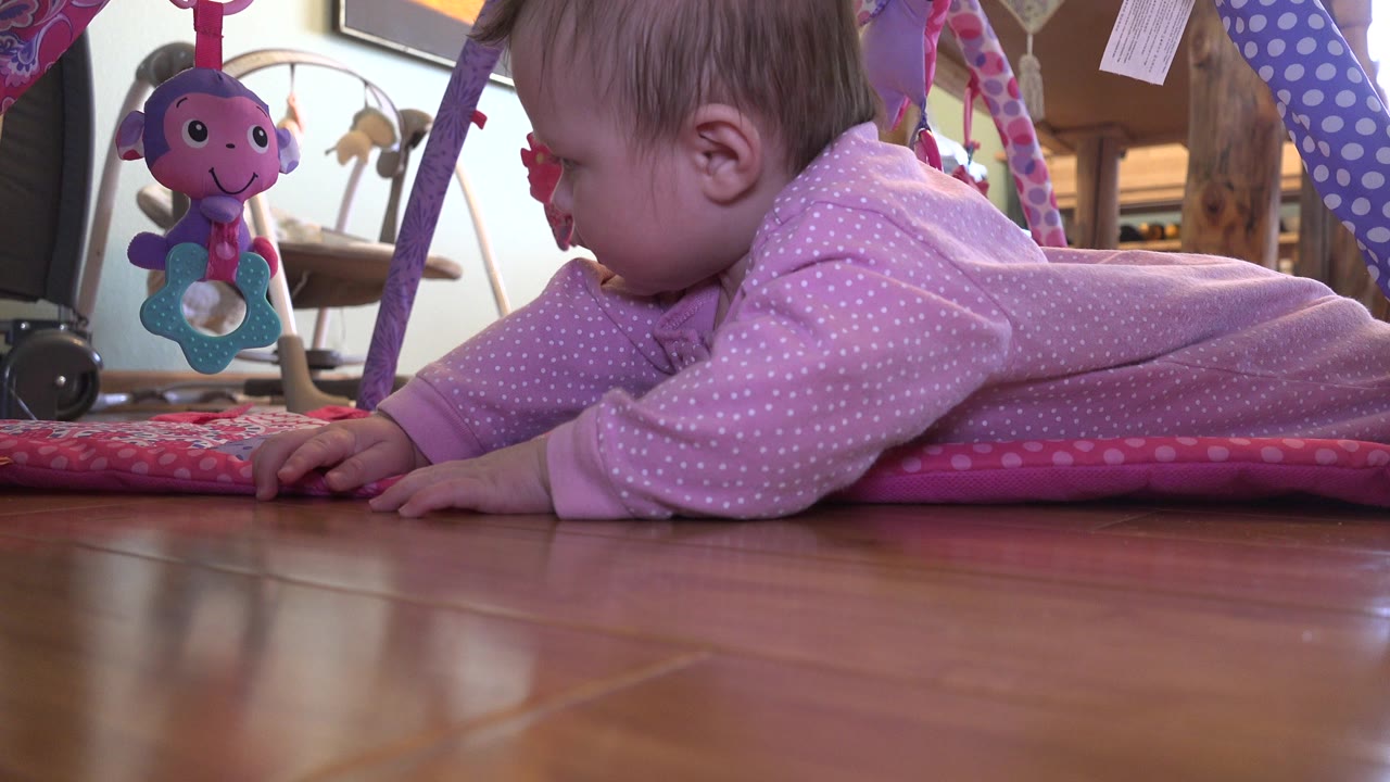 Baby girl on her stomach beside hanging plush toys.