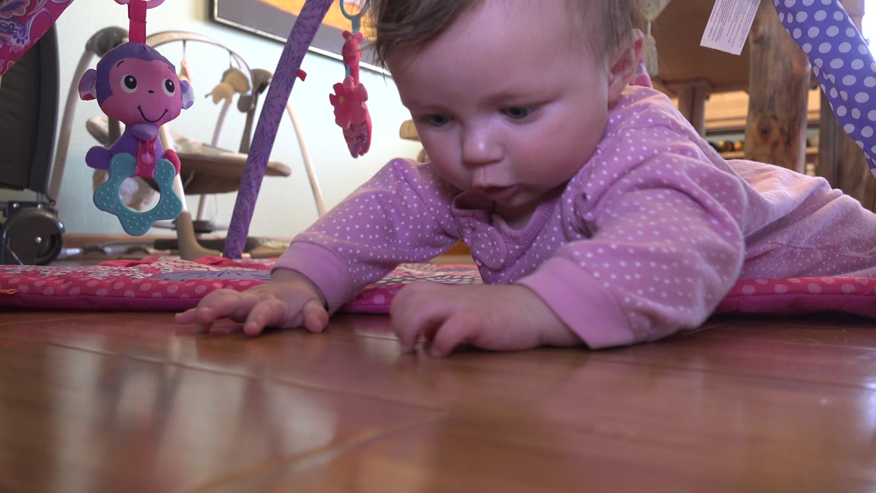 At 0:01 in Westminster, Colorado, the infant reaches one hand toward a small light brown object on the hardwood floor while play-gym toys hang nearby.