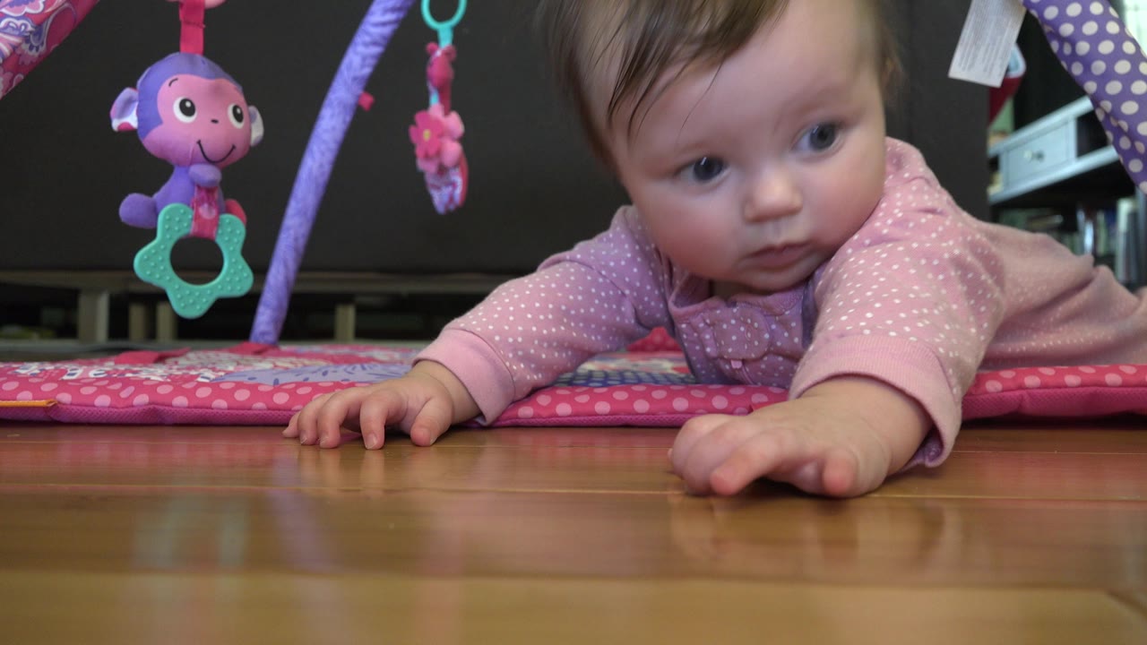A baby in a pink outfit lies low on a play mat in Westminster, Colorado, reaching toward the wooden floor while purple and teal toys hang nearby.