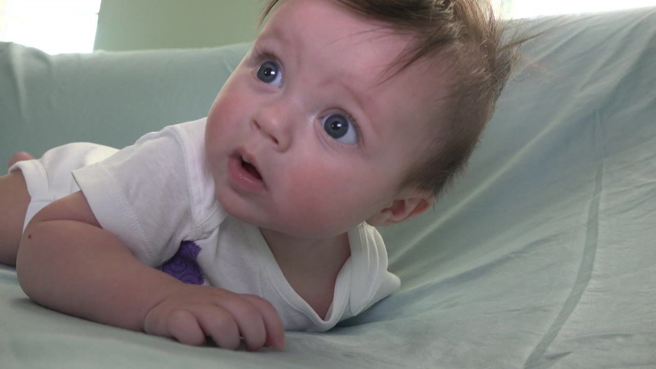 The baby remains low on the pale blue couch in Westminster, Colorado, with one arm forward and eyes lifted toward the upper left of frame.