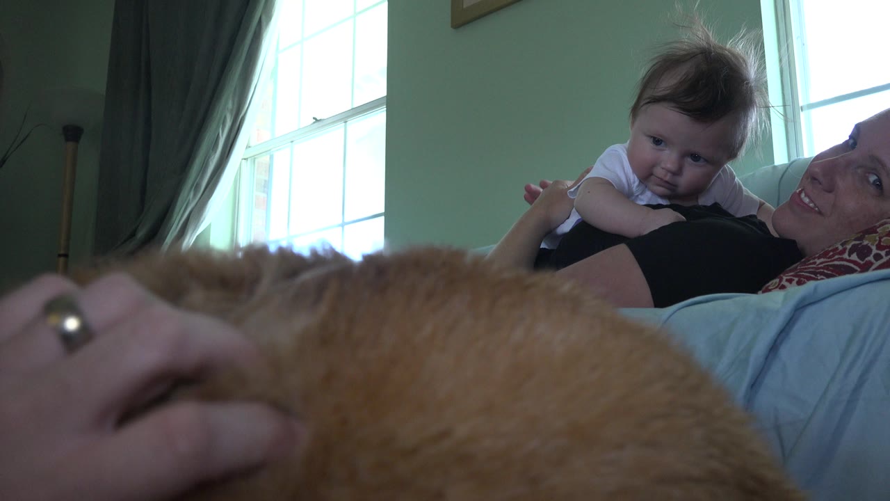Mother smiling at baby while a hand pets the dog in foreground.