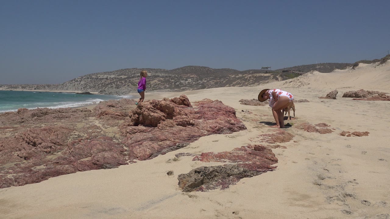 Child stands on beach rocks as the woman bends down near the sand and a small dog stands nearby.