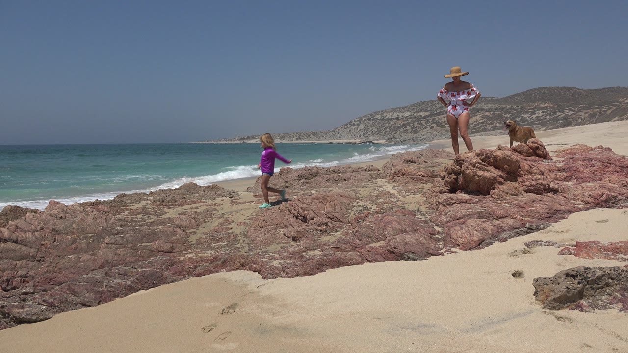 Child walking on rocky beach near woman and dog by the surf.