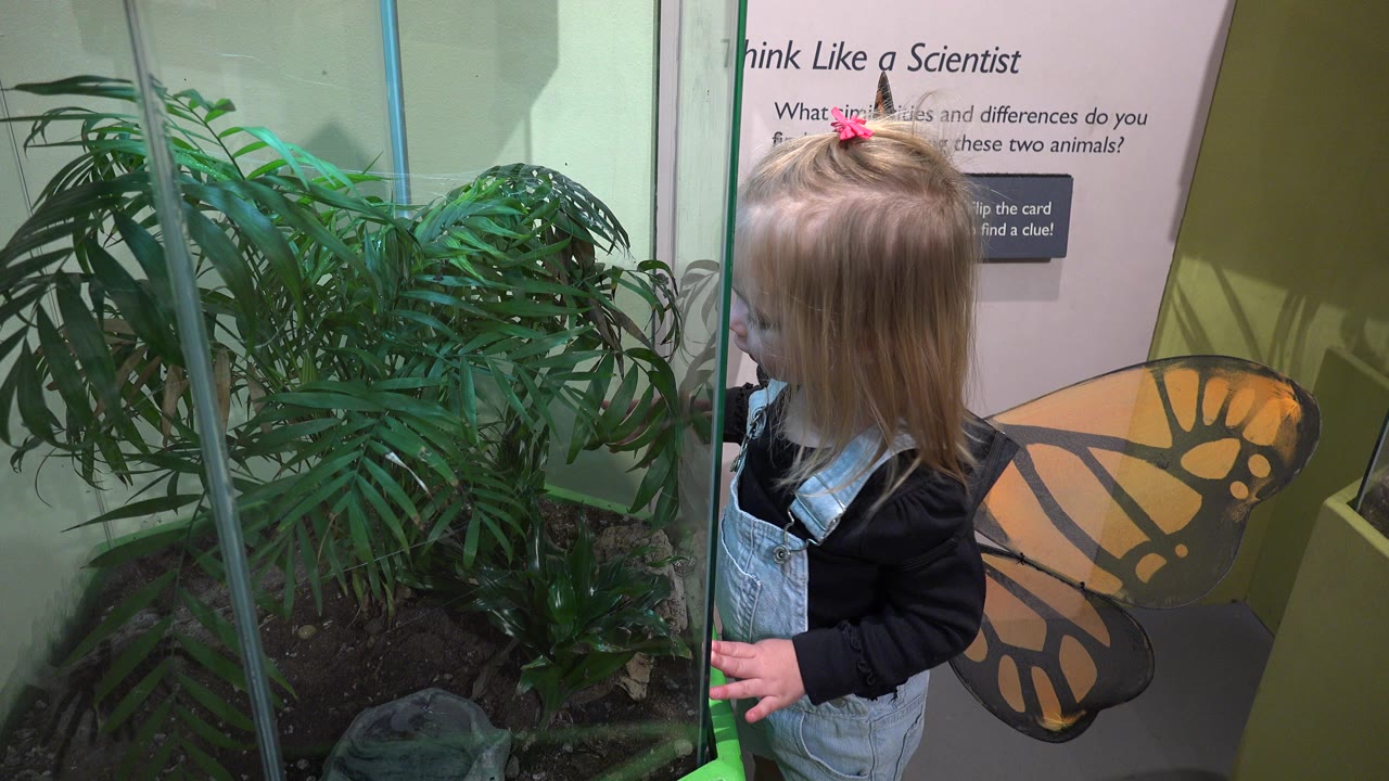 Child in butterfly wings beside a glass plant enclosure.