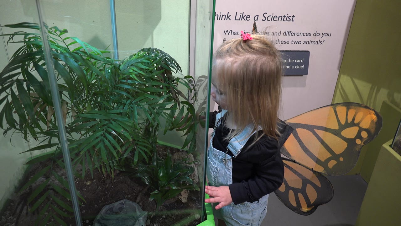 The child remains beside the glass plant display, turned toward the enclosure with the butterfly wings visible behind their shoulders.