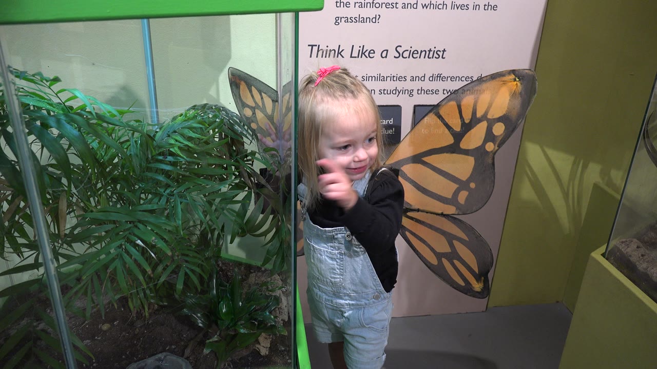 Young girl in butterfly wings beside a glass plant enclosure.