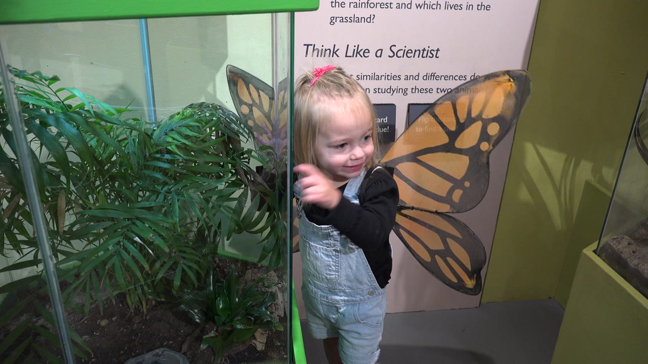 In Broomfield, Colorado, the girl raises a hand near her face while standing between the glass plant enclosure and a wall panel with butterfly imagery.
