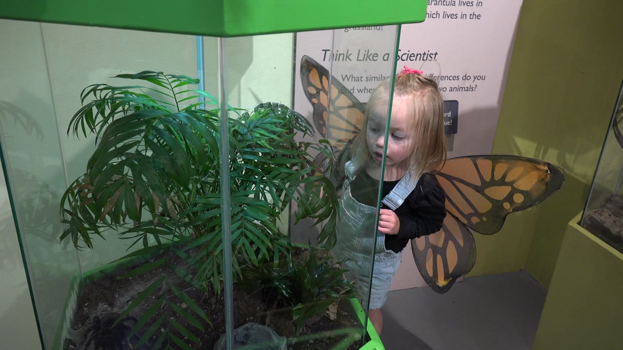 Young girl beside a green glass terrarium with leafy plants.