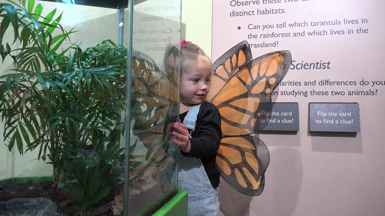 In Broomfield, Colorado, the girl faces slightly toward the camera while holding the glass edge near the planted terrarium.