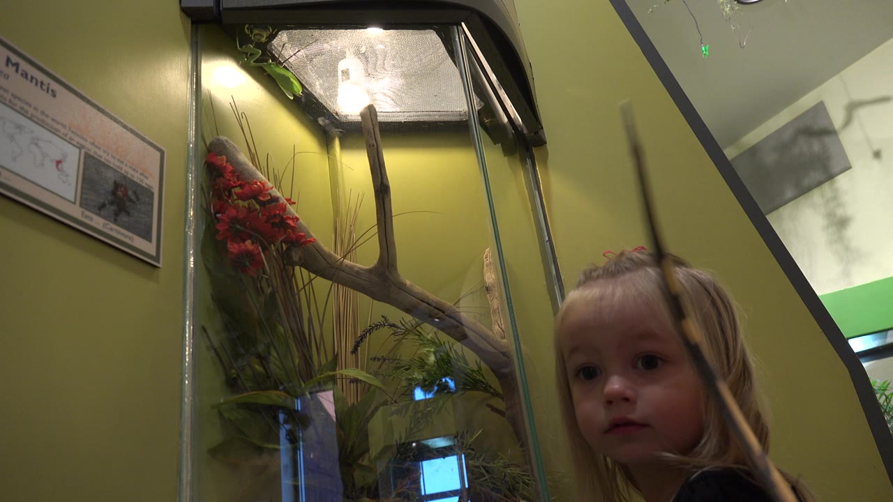 In Broomfield, Colorado, the girl's face is closer to camera as she stands next to the lit glass terrarium and green indoor wall.