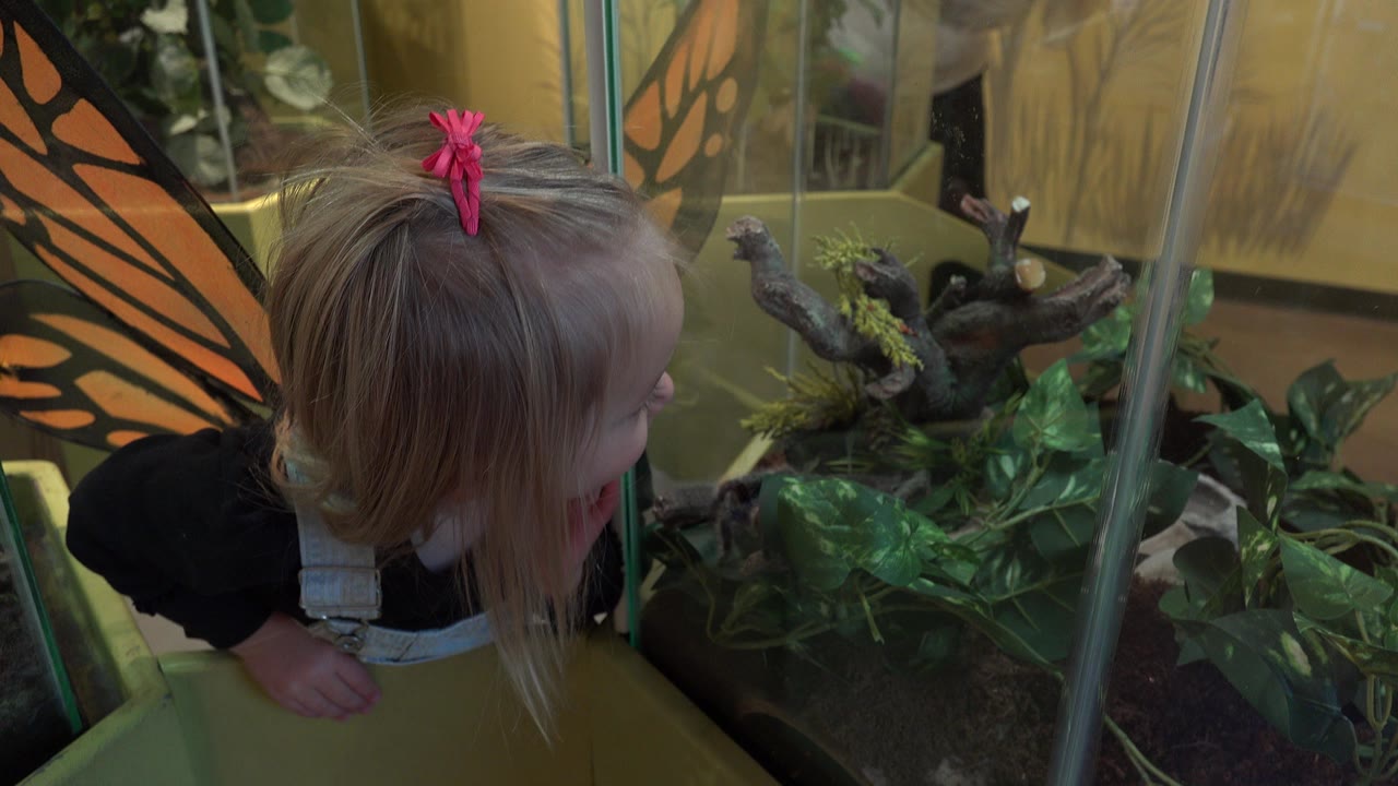 Young girl leans beside a glass terrarium with plants and branches.
