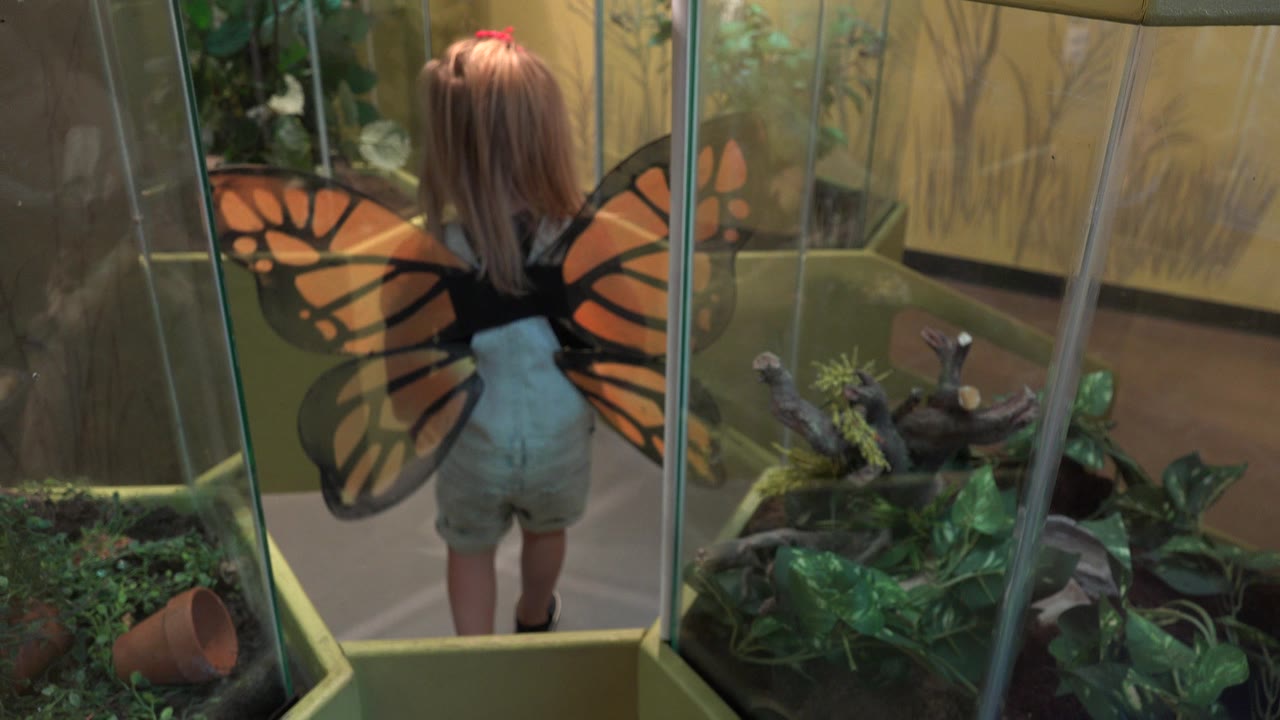 The girl remains near the glass enclosure in Broomfield, Colorado, with orange butterfly wings spread across her back and plants visible inside the exhibit.