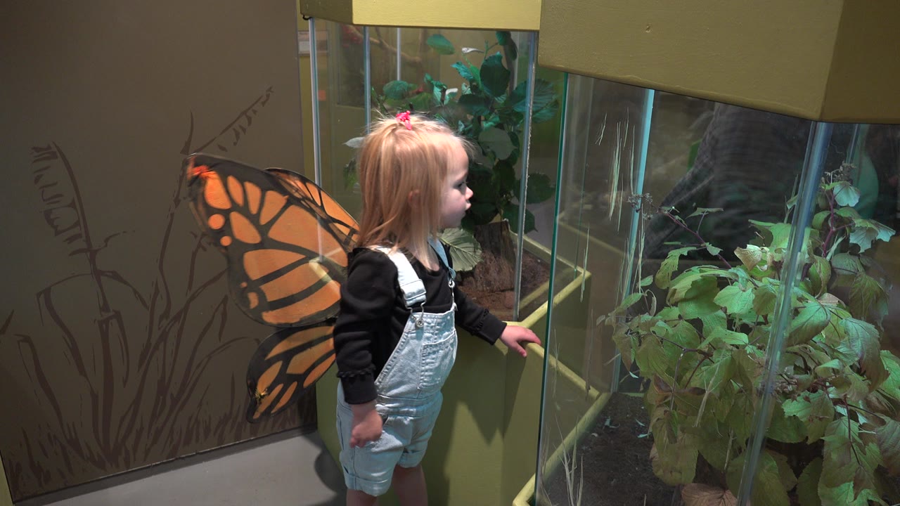 Young girl in butterfly wings beside a glass plant display.