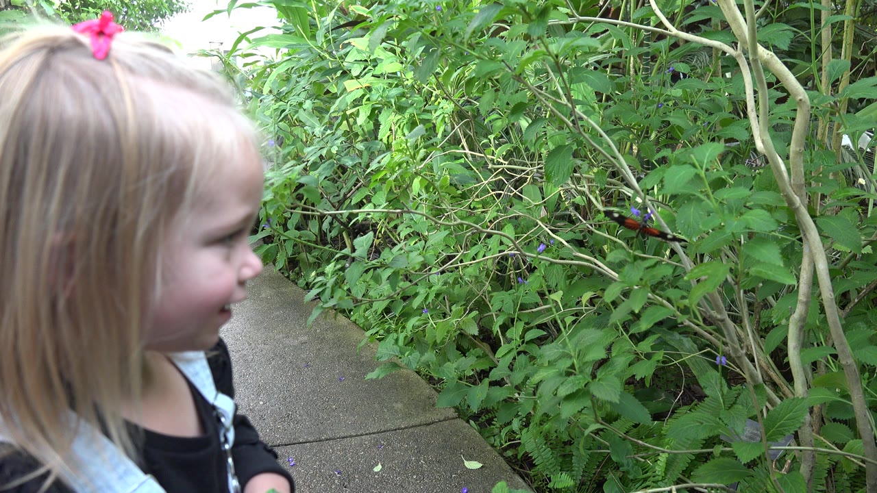 Blonde child beside leafy plants on a concrete path.