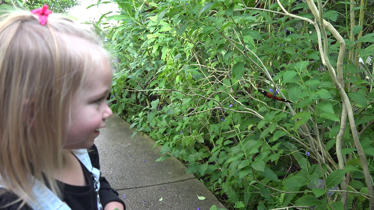 The young girl remains in close side profile next to leafy shrubs and thin branches along the Broomfield path.