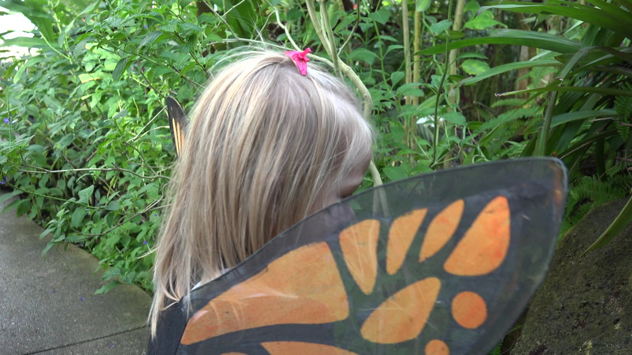 Blonde child in butterfly wings facing dense green plants.