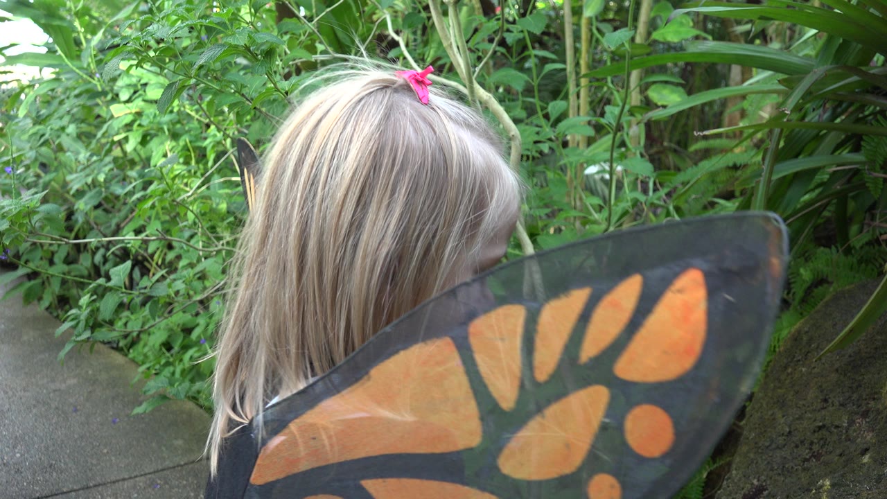 At 0:01 in Broomfield, Colorado, the child remains turned away from camera with one butterfly wing filling the lower frame and shrubs ahead.
