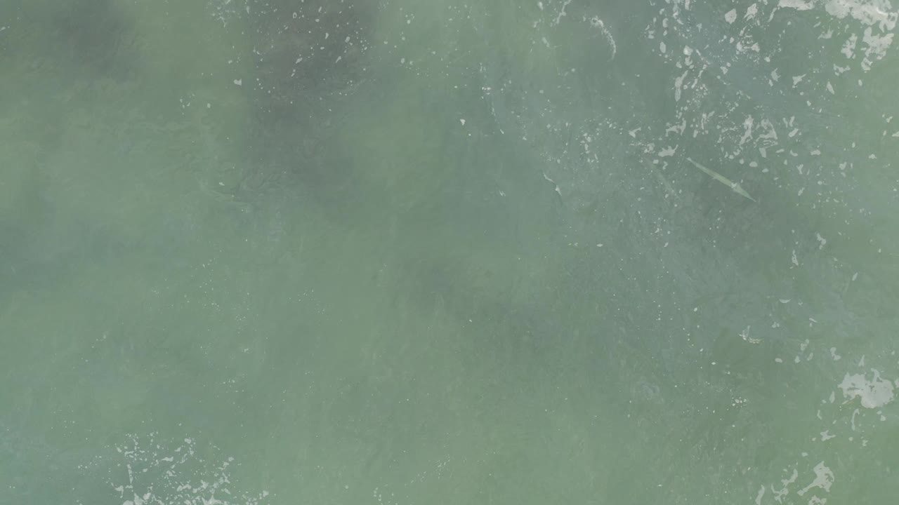 Overhead murky green ocean water with white foam flecks.