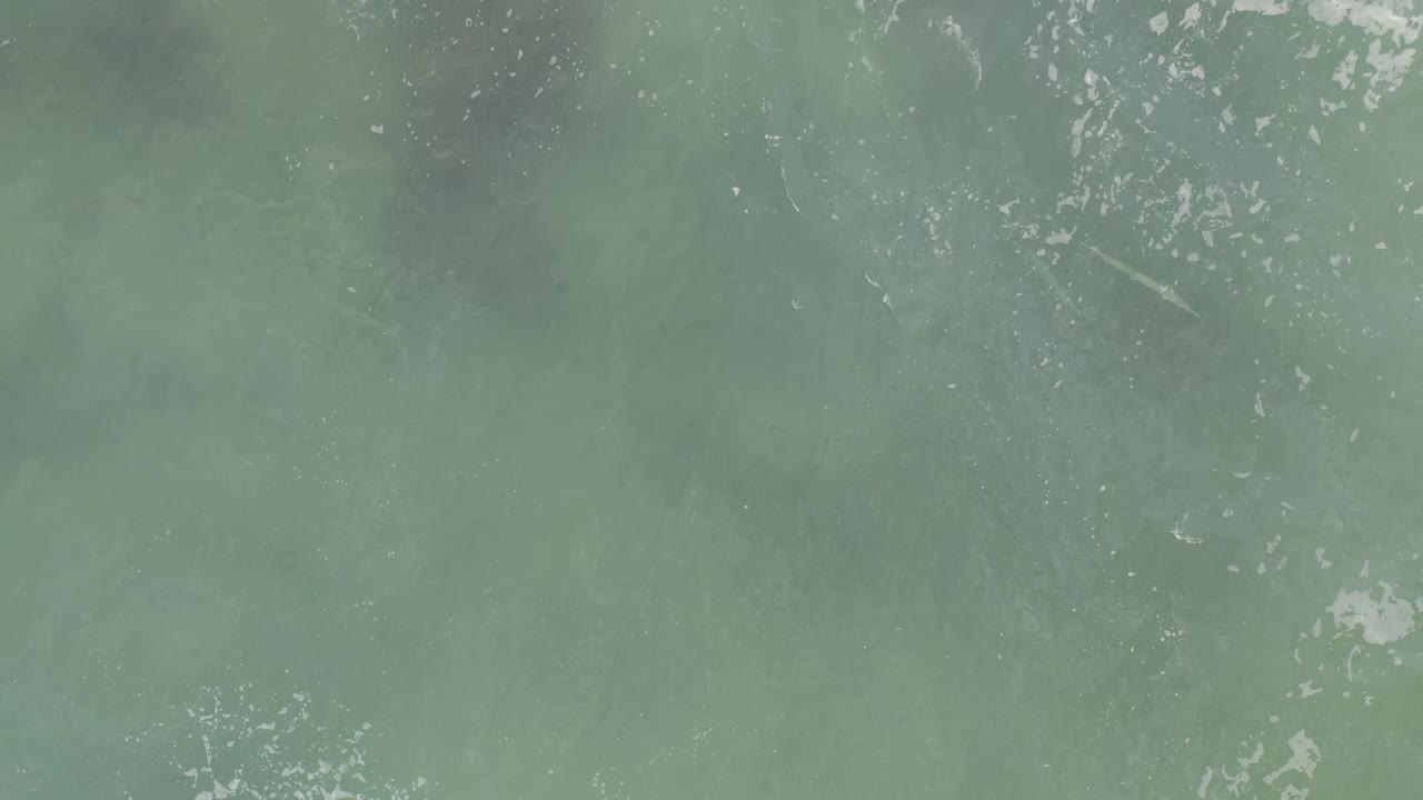 Aerial frame of sandy green water in Baja California Sur, where pale cloudy plumes soften the surface and no visible people appear.