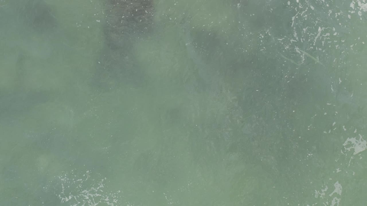 Overhead Baja California Sur ocean view with murky green water, darker submerged areas, thin white foam marks, and no visible people.