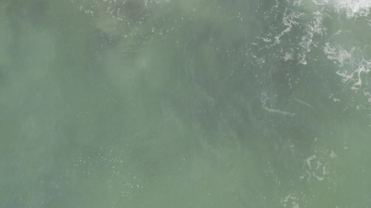 Overhead green ocean water in Baja California Sur, Mexico, with white foam gathered near the top edge and no visible people.