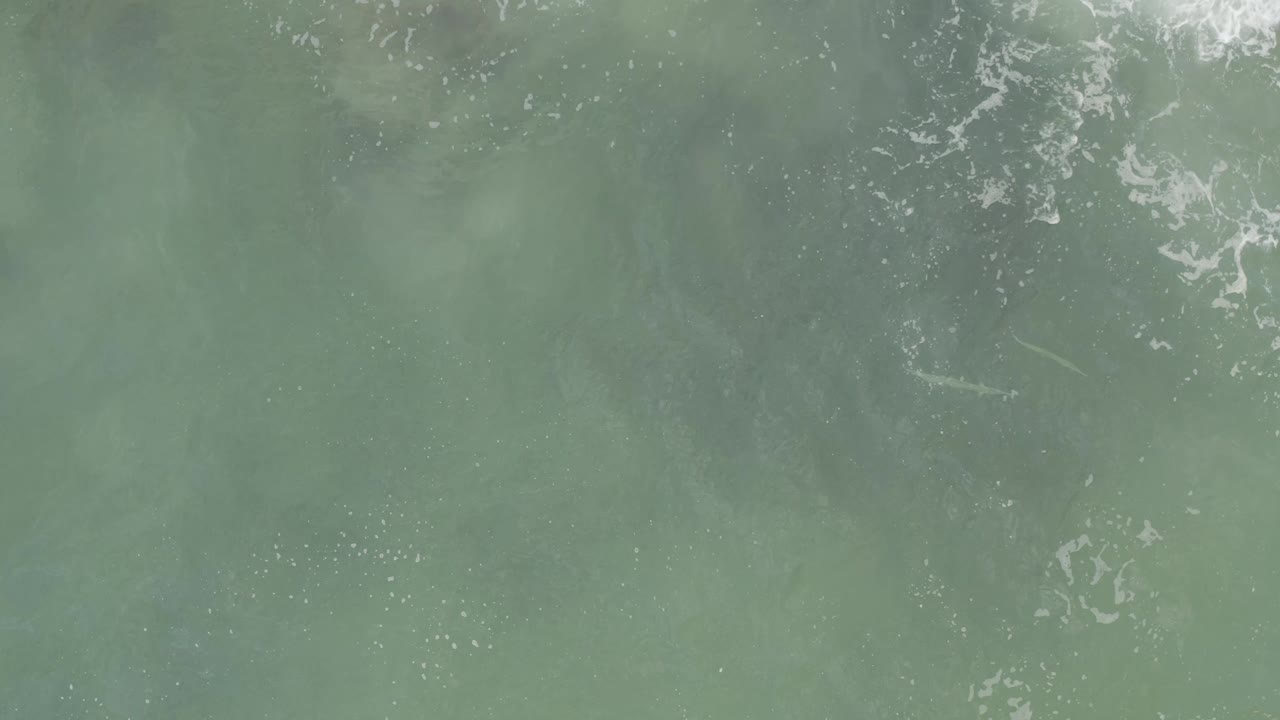 Pale green ocean surface in Baja California Sur, Mexico, with faint white foam streaks crossing the upper part of the frame and no visible people.