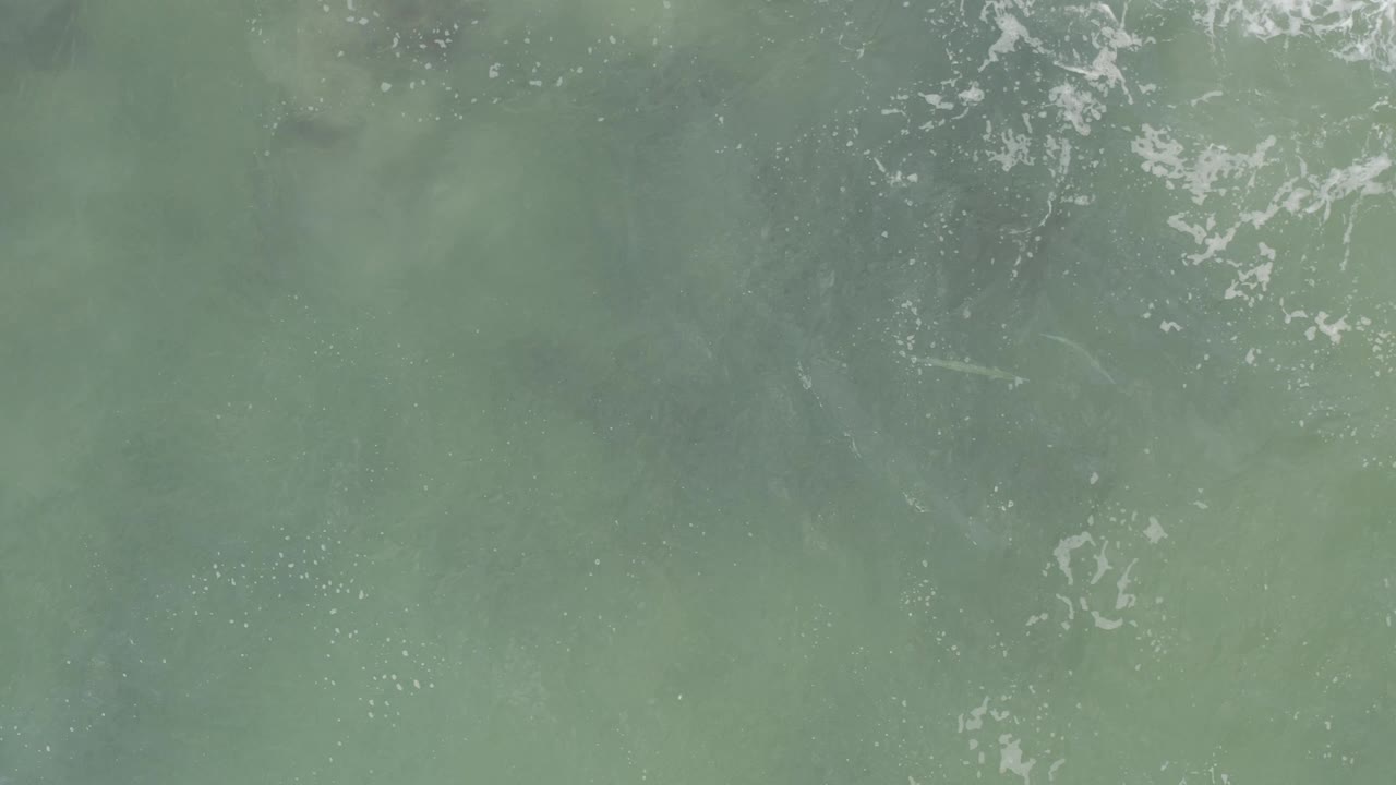 Aerial-looking green ocean water in Baja California Sur, Mexico, with scattered white foam and darker submerged patches visible through the surface, no visible people.