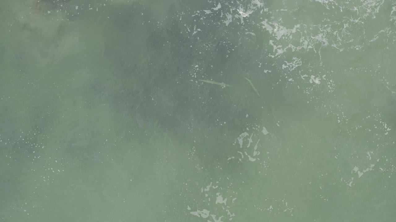 Overhead Baja California Sur ocean water with brighter white foam arcs over muted green water and no visible people.