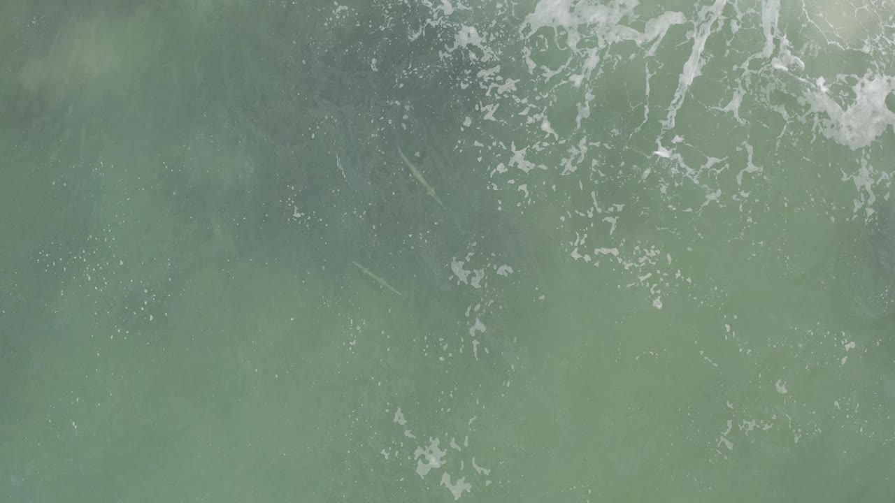 Overhead green sea water in Baja California Sur shows faint foam traces, darker underwater patches, and no visible people.
